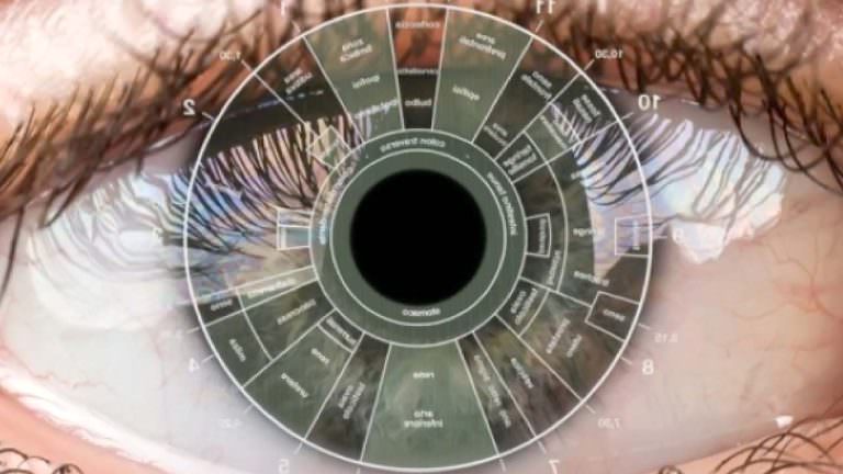 Bases de la Iridología