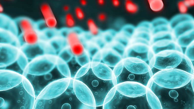 Los Radicales Libres