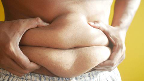 Descubren Proteína Que Reduce Obesidad