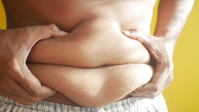 Descubren Proteína Que Reduce Obesidad