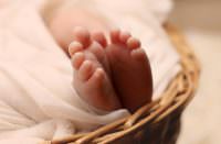 Esperanza que nos invita a renacer