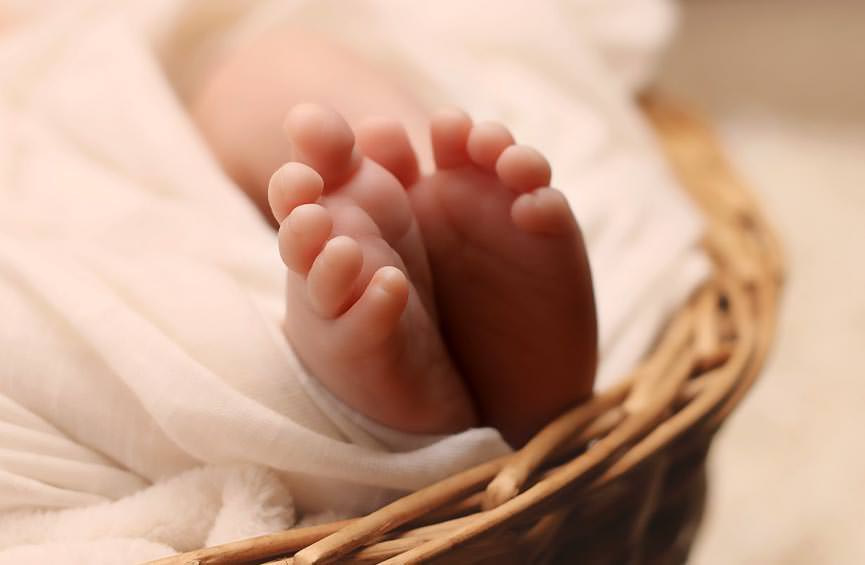 Esperanza que nos invita a renacer