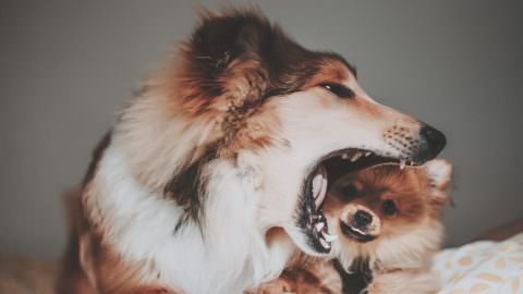 Los límites deben existir en todo tipo de relación