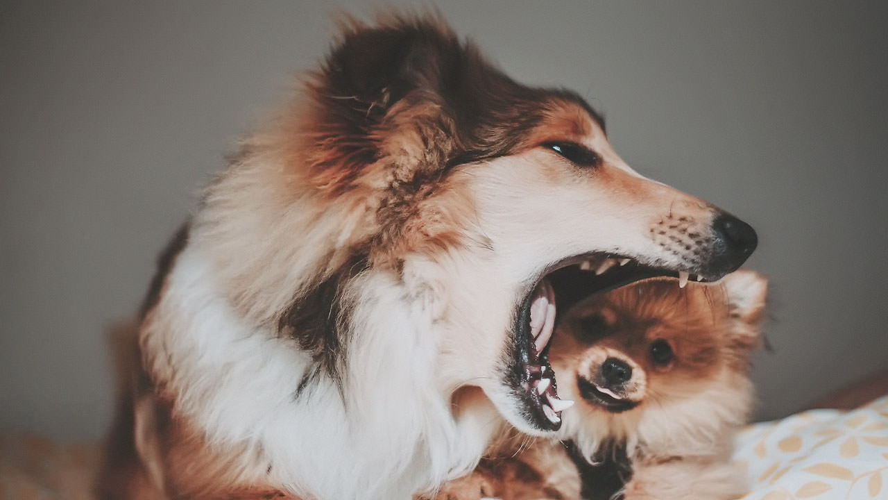 Los límites deben existir en todo tipo de relación