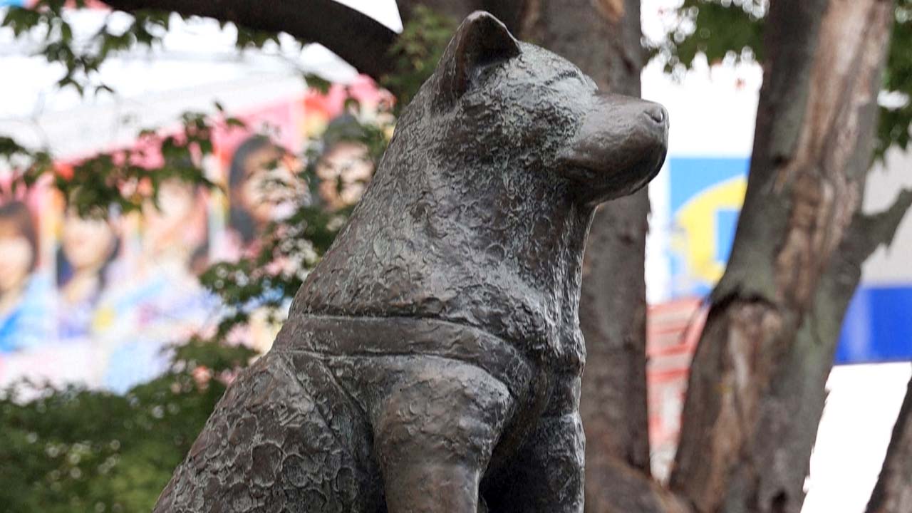 Hachiko: cien años de lealtad