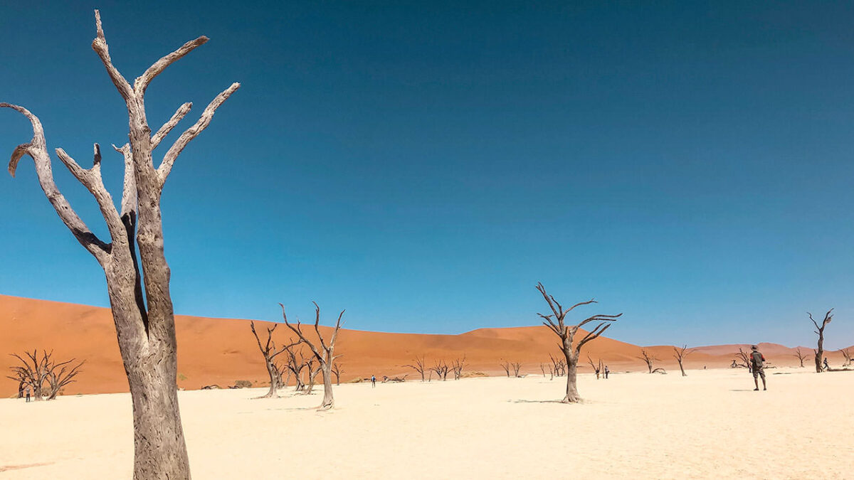 Las olas de calor y tus medicamentos