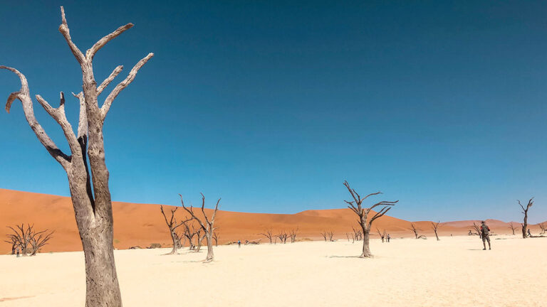 Las olas de calor y tus medicamentos